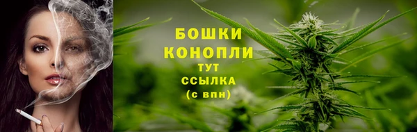 шишки Богородск
