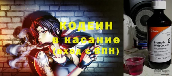 шишки Богородск