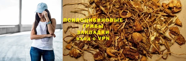 ALPHA PVP Богородицк